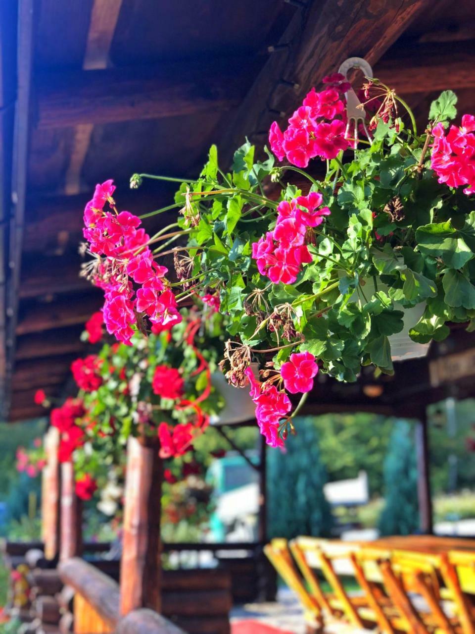 Cabana Din Groapa Frumoasa Risnov Bagian luar foto