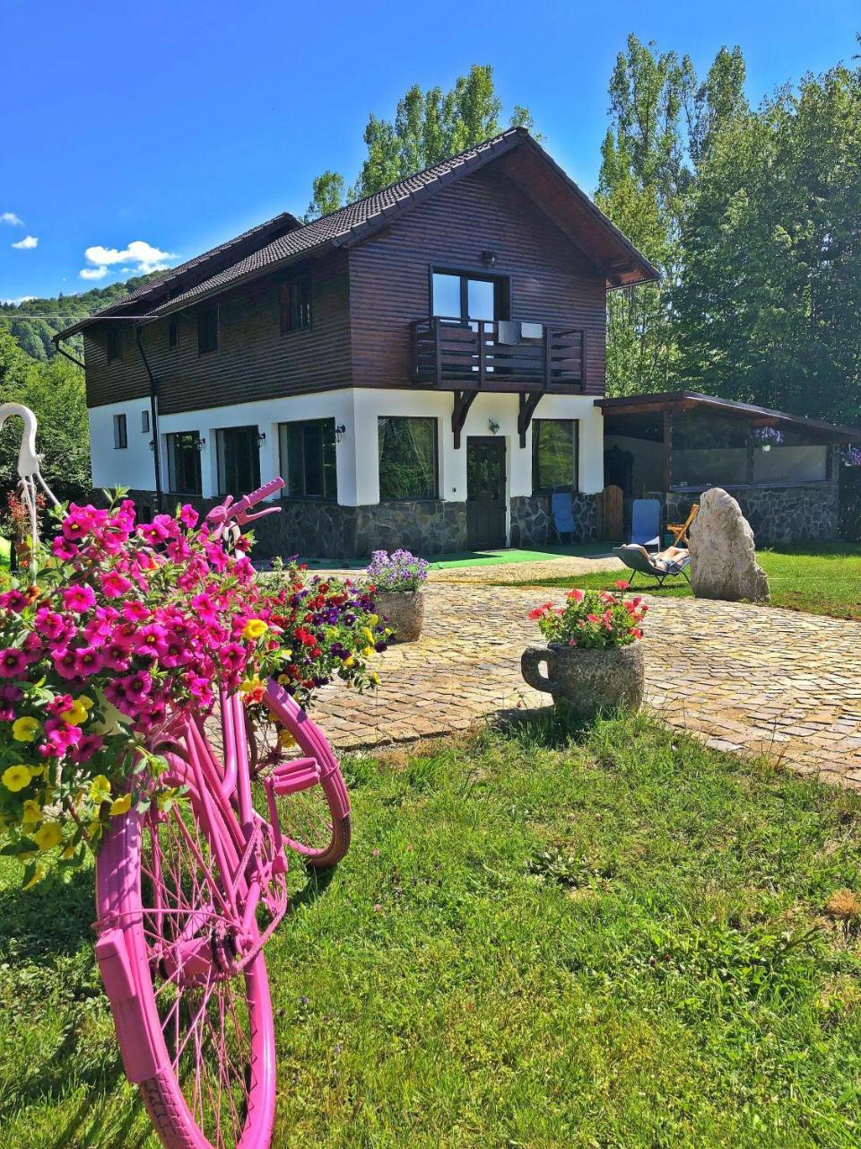 Cabana Din Groapa Frumoasa Risnov Bagian luar foto